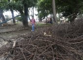 Quienes visitan los parques de Albatros deben caminar por senderos resbaladizos por el moho que los cubre, debido a la falta de limpieza y mantenimiento.