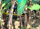 Los cuerpos de dos jóvenes asesinados fueron hallados en una plantación bananera del cantón Pasaje, El Oro.