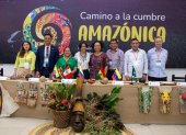 Ministros de Ambiente de países de la cuenca amazónica preparan el encuentro.