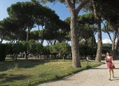Roma. El pino siempre fue un símbolo, ahora este árbol ve amenazada su conocida resistencia por un parásito.