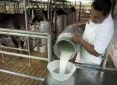 Hacienda.- La producción de leche en el país.