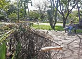Vista. El parque Antonio Neumane luce lúgubre. Las ramas secas de las plantas invaden el predio.