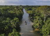 Fotografía aérea de un bote navegando por un río en una zona de la floresta Amazónica, el 6 de agosto de 2023, en el estado de Pará, norte de Brasil.
