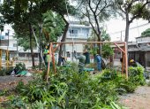 Limpieza. Los árboles fueron podados para despejar también los juegos infantiles.