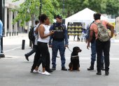 Más de la mitad de los perros que iniciaron este proyecto han salido de las filas de ‘protección’ para la ciudadanía.