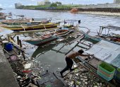 Un pescador fue registrado este 28 de agosto al mover una embarcación rodeada de materiales arrastrados por la corriente, tras el paso del supertifón Saola, en un pueblo pesquero de la ciudad de Paranaque (Metro Manila, Filipinas)