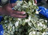Hojas de coca en un mercado legal de La Paz, en Bolivia.