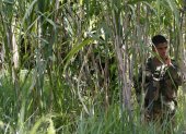 Conflictos. Un soldado vigila una de las zonas de combate en Colombia.