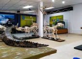 La sala de fauna amazónica en el museo educativo virtual del Inabio.