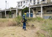 Intervención. Una tarea de desbroce de maleza se desarrolló en el lugar.