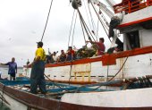 Faena. Los pescadores de Santa Elena trabajan con incertidumbre. Temen el efecto de nuevas reglas.