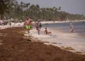 Playa cubierta de sargazo en Punta Cana.