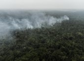 Fotografía aérea de un incendio forestal en Iranduba, región metropolitana de Manaos (Brasil).