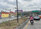 Mantenimiento. Desde que culminó el contrato de mantenimiento de las áreas verdes de esta zona, las jardineras no han tenido riego ni control fitosanitario.