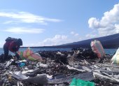 En 2022, en las islas Galápagos se recolectaron 3,6 toneladas de basura.