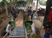 Productores de banano piden incremento para compensar el alto costo de insumos. El Gobierno deberá establecer el costo, por falta de acuerdos. CAJAS DE BANANO