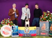 PETFEST será el lugar de encuentro para las mascotas, sus dueños y las empresas o emprendimientos especializados en este rubro