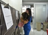 Emma fue víctima de violación y ahora es atendida por los veterinarios de PAE en Quito