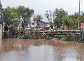Árbol cae debido a fuertes lluvias en Cuenca