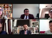 Expertos participaron de forma telemática en la sesión de la Comisión de Justicia.
