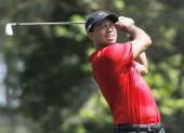 tiger woods