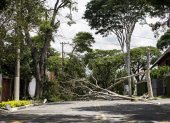 Vista general de una calle bloqueada por árboles caídos en Sao Paulo (Brasil).