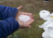 Labor. Varios operarios contratados por Tragsa recogen pellets de plástico en la playa de Seiras ( Coruña), tras el percance el buque ‘Toconao’, con bandera de Liberia.