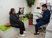 Para que la mascota se quede en el hospedaje es importante un chequeo previo.