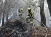 Bomberos trabajan en la extinción de un incendio este jueves 25 de enero de 2024, en el cerro El Cable, en Bogotá (Colombia).