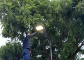 Respuesta. Personal del Municipio arregló las luminarias del parque.