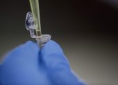 Detalle de frascos con muestras de laboratorio.