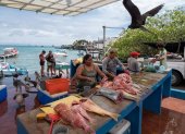 Proyecto. En la isla Santa Cruz se investigó sobre los desechos de pescado.