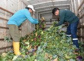 Recolección. Los productos que ya no se venden son direccionados a los proyectos agrícolas.