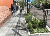En la calle Vicente Ramón Roca y 6 de Diciembre se colocaron espacios con una variedad de plantas.