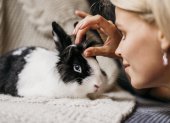Los conejos son la mascota ideal para ayudar a relajar a su dueño
