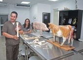 Vista. En el laboratorio de morfociencias se estudian huesos de animales, ubicación y desarrollan habilidades.