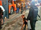 Martín, el perro policía fue clave en el operativo para encontrar el alcaloide.
