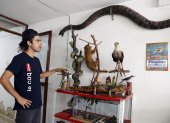 El taxidermista Miguel Vargas muestra varios animales disecados en su estudio