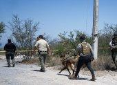 Integrantes de la fiscalía estatal acompañados de binomios caninos trabajan este jueves en la zona donde se localizaron cinco restos humanos en el municipio de Pesquería (México).