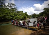 Cientos de migrantes se han aventurado por esta selva en lo que va del 2024.