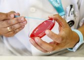 Archivo. Personal técnico de laboratorio prepara unas muestras para análisis
