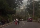 La caída de un árbol provocó el cierre de la vía a Guangopolo, en el valle de Los Chillos.