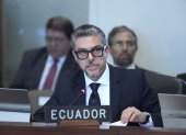 El viceministro de Movilidad Humana de Ecuador, Alejandro Dávalos.