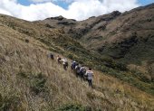 Salida a campo en la que participan comuneros de Segunda y Cajas y miembros de organizaciones ambientales para evaluar el estado de los bosques y páramos del ACP Chicuate - Chinguelas.