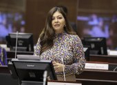 Solicitud. La legisladora de RC, Sofía Espín, propuso que Fiscalización investigue la crisis energética.