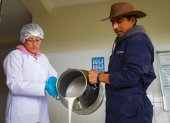 Producción. Esta clase de leche no contiene beta caseína A1.