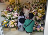 Decenas de personas se despiden con flores de Kabosu, la perra shiba inu que inspiró el meme Doge.