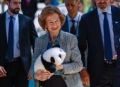 La reina Sofía asistió al recibimiento de los osos panda Jin Xi (macho) y Zhu Yu (hembra) en el zoológico de Madrid.