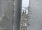 La puerta del segundo contenedor, el cual no refrigera hace 22 días, está entreabierto. En él hay cadáveres en estado de descomposición.