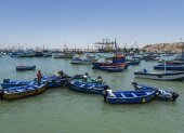 La pesca en Perú tuvo un gran desempeño en 2024.